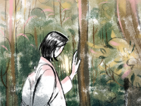 Превью выпуска №8