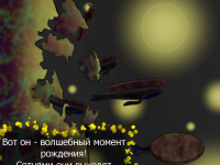 Превью выпуска №5