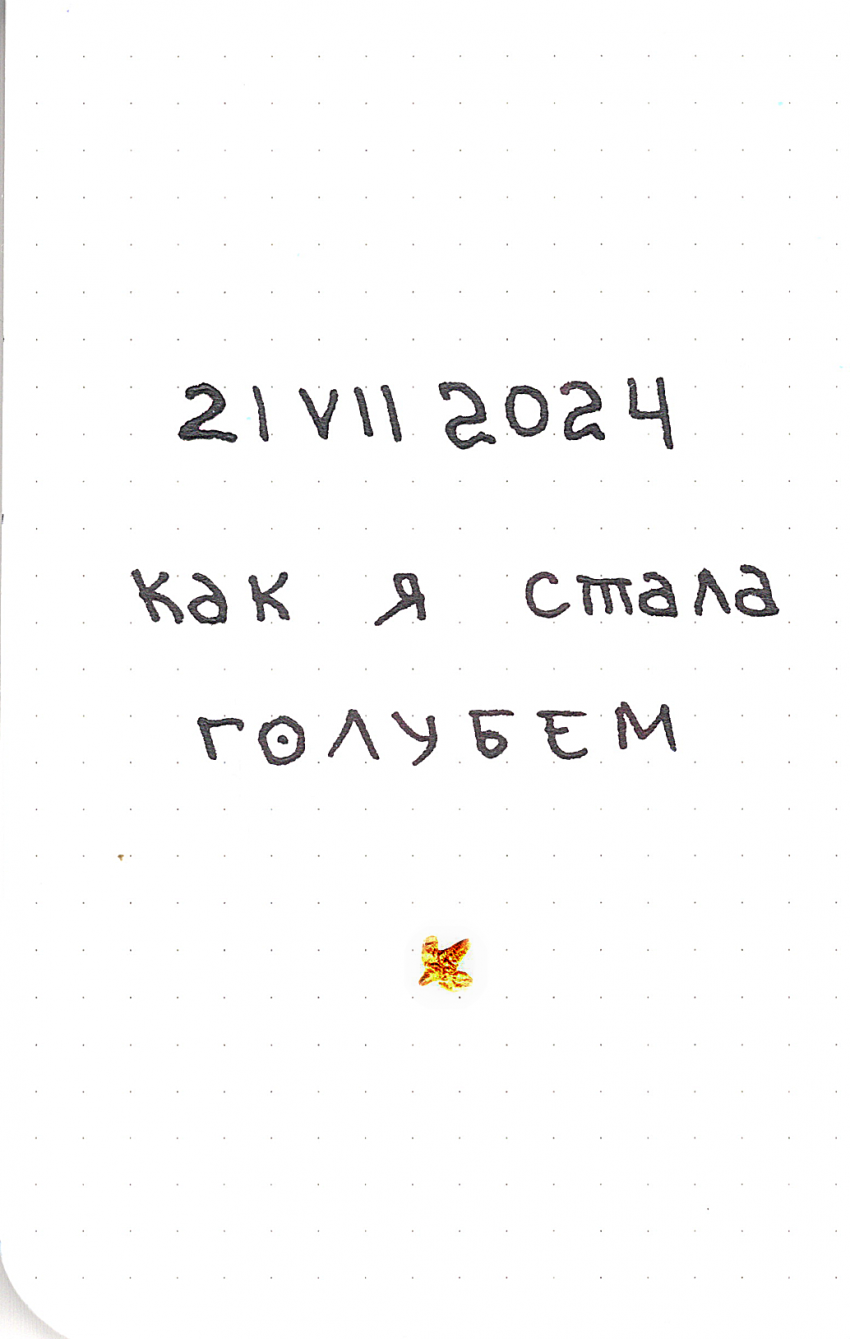 как я стала голубем