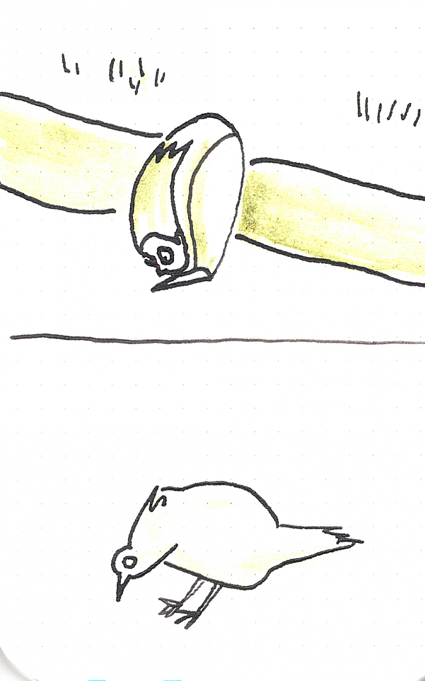 Комикс Fairytale I saw today: выпуск №145