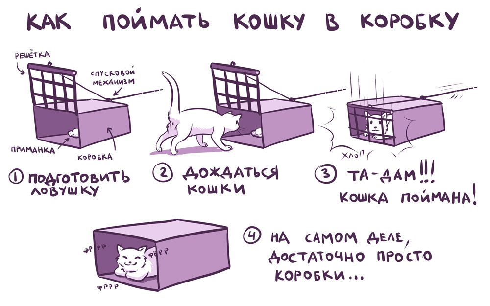 Как поймать кошку в коробку. комикс Автора понесло читать онлайн на сайте  Авторский Комикс