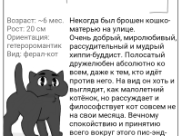 Превью выпуска №55