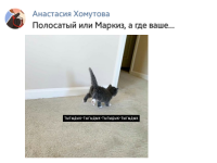 Превью выпуска №86