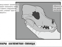 Превью выпуска №59