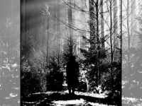 Превью выпуска №2