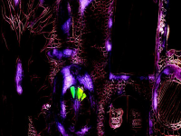 Превью выпуска №50