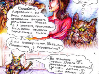 Превью выпуска №51