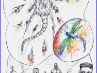 Превью выпуска №10