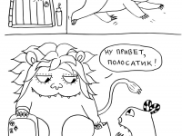 Превью выпуска №46