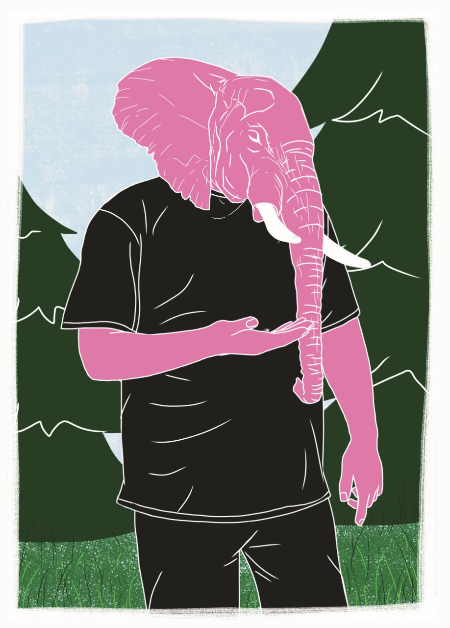 Комикс Розовый слон: выпуск №190