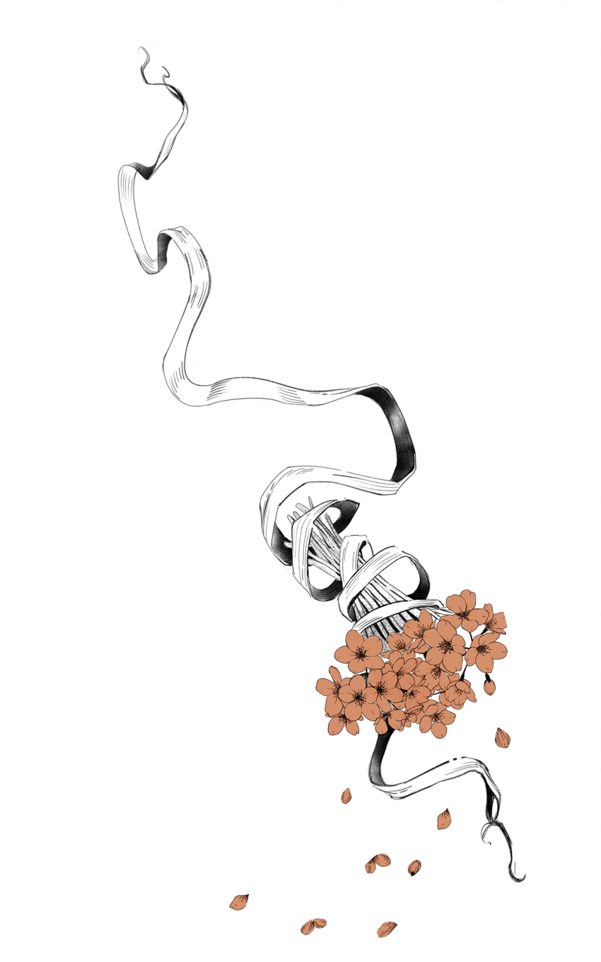 Комикс Из-За Леса Из-За Гор: выпуск №51