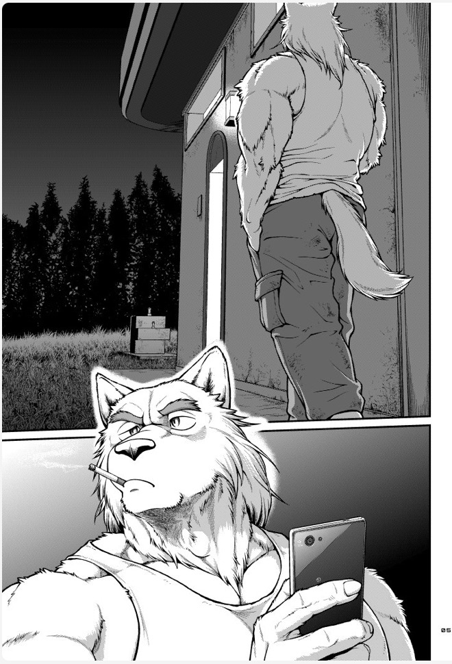Furry Yaoi Doujinshi