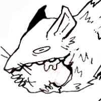 Изображение пользователя Sshhakal