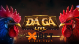 Картинка комикс Đá Gà Trực Tiếp XIBET 2026 - Trường Gà Thomo HD, Kèo Ngon