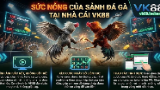 Картинка комикс Đá Gà VK88 2026 - Trực Tiếp Thomo WS168 & GA28 Full HD