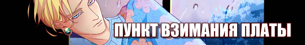 Пункт взимания Платы