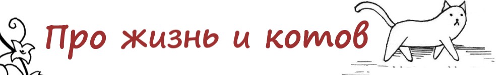 Про жизнь и котов