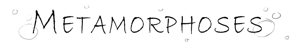 Метаморфозы