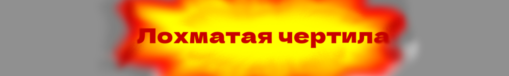 Лохматая чертила