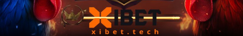 Đá Gà Trực Tiếp XIBET 2026 - Trường Gà Thomo HD, Kèo Ngon