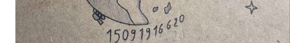 15091916620