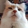 Изображение пользователя alexvolf