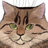Изображение пользователя FiregirlDraw