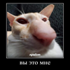 Изображение пользователя iisus-gospod