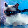 Изображение пользователя Sad11Cat