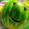 Изображение пользователя Watermelon